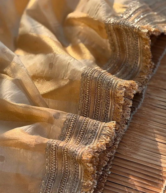 Tissue Silk Saree with Intricate Lace