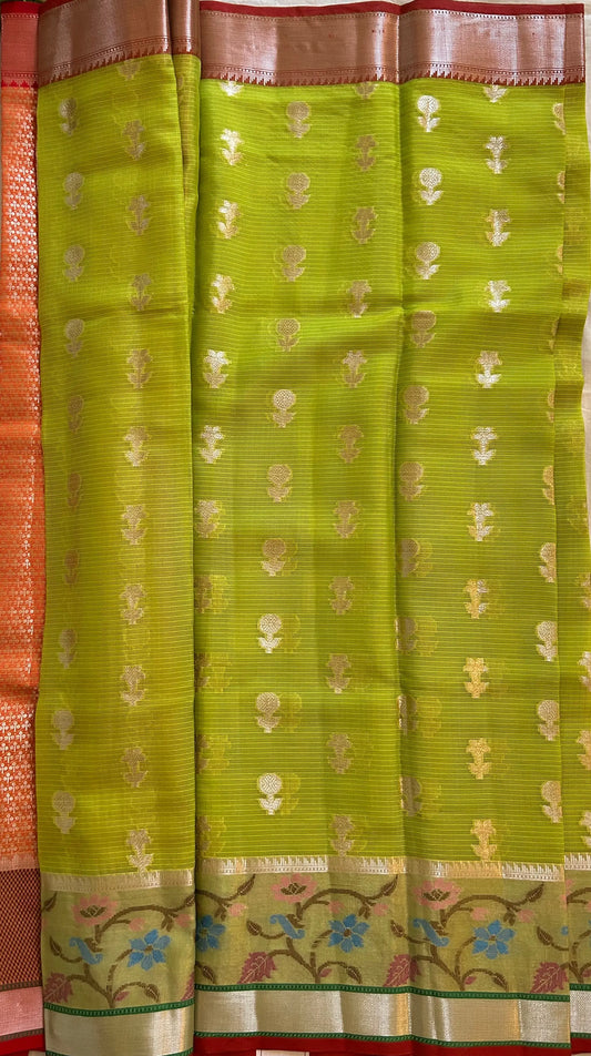 Saree Body
